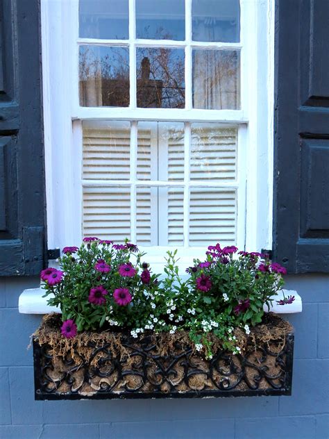 modern metal window boxes|decorative metal window boxes.